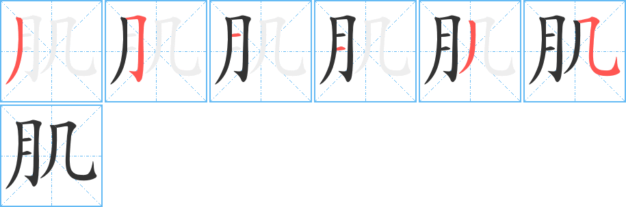 肌的筆順筆畫