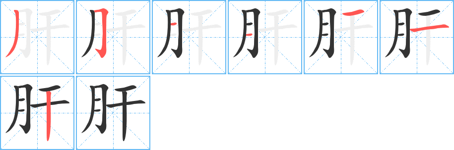 肝的筆順筆畫