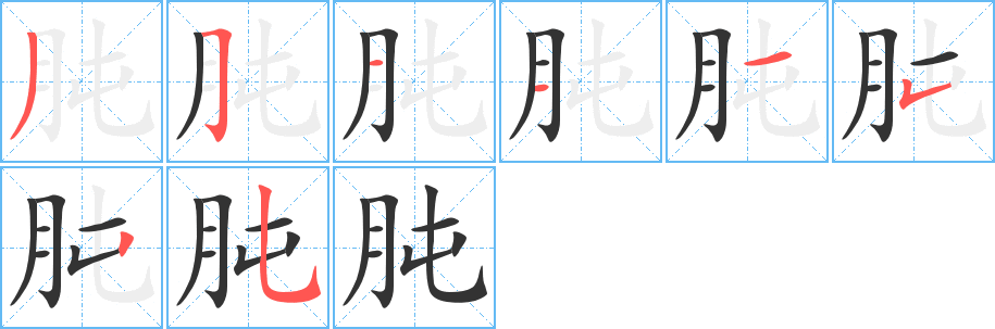 肫的筆順筆畫