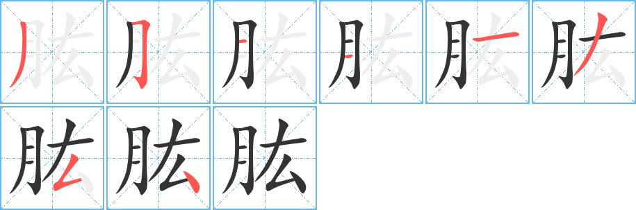 肱的筆順筆畫(huà)