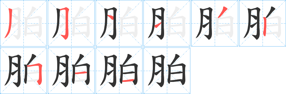 胉的筆順筆畫(huà)