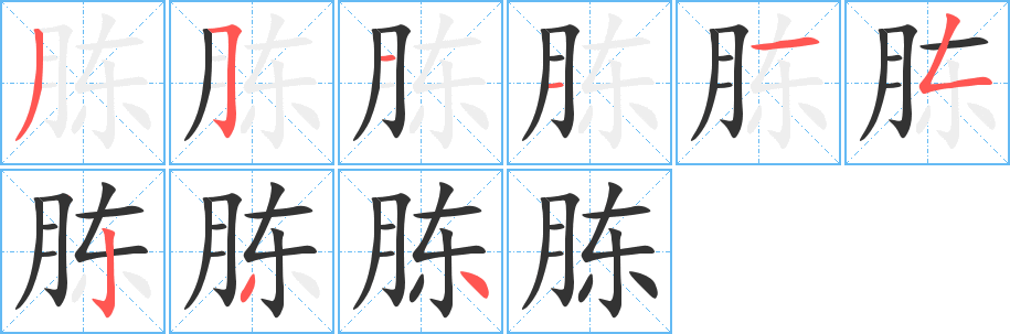 胨的筆順筆畫(huà)