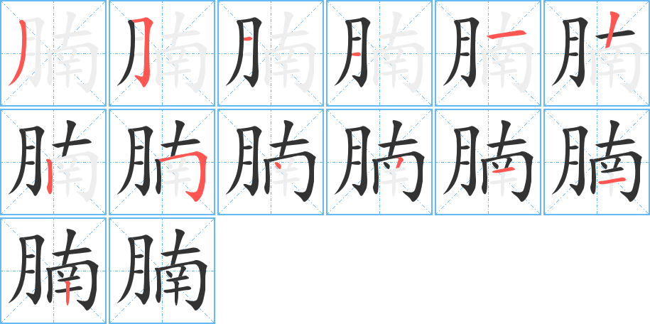 腩的筆順筆畫